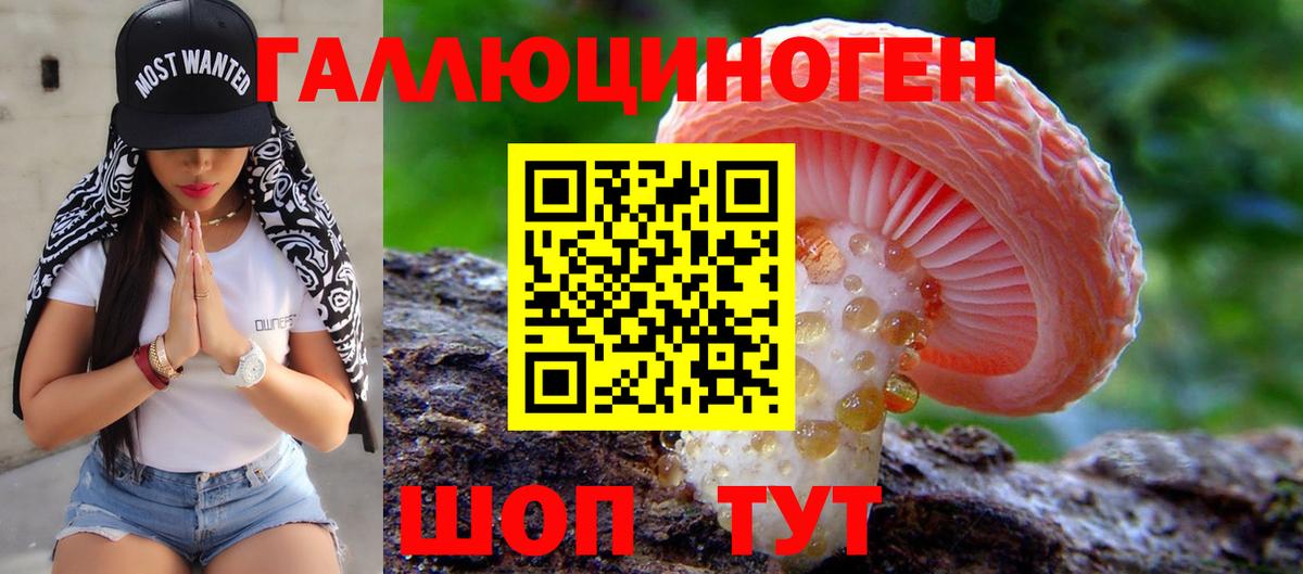 Галлюциногенные грибы прущие грибы Мытищи