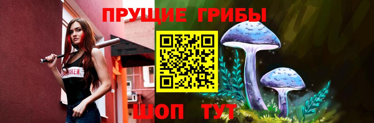 Псилоцибиновые грибы Cubensis  Вход с VPN  Мытищи 